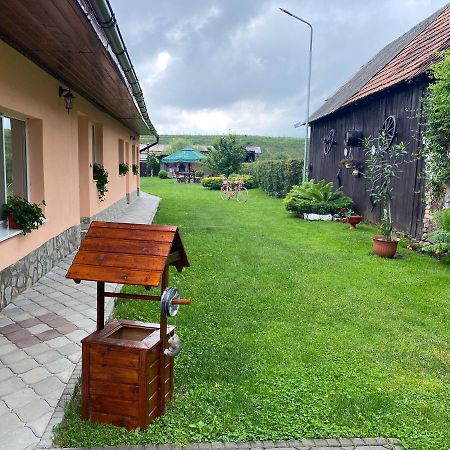 Pensiunea Denis Cîrţişoara Exteriör bild