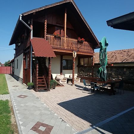 Pensiunea Denis Cîrţişoara Exteriör bild