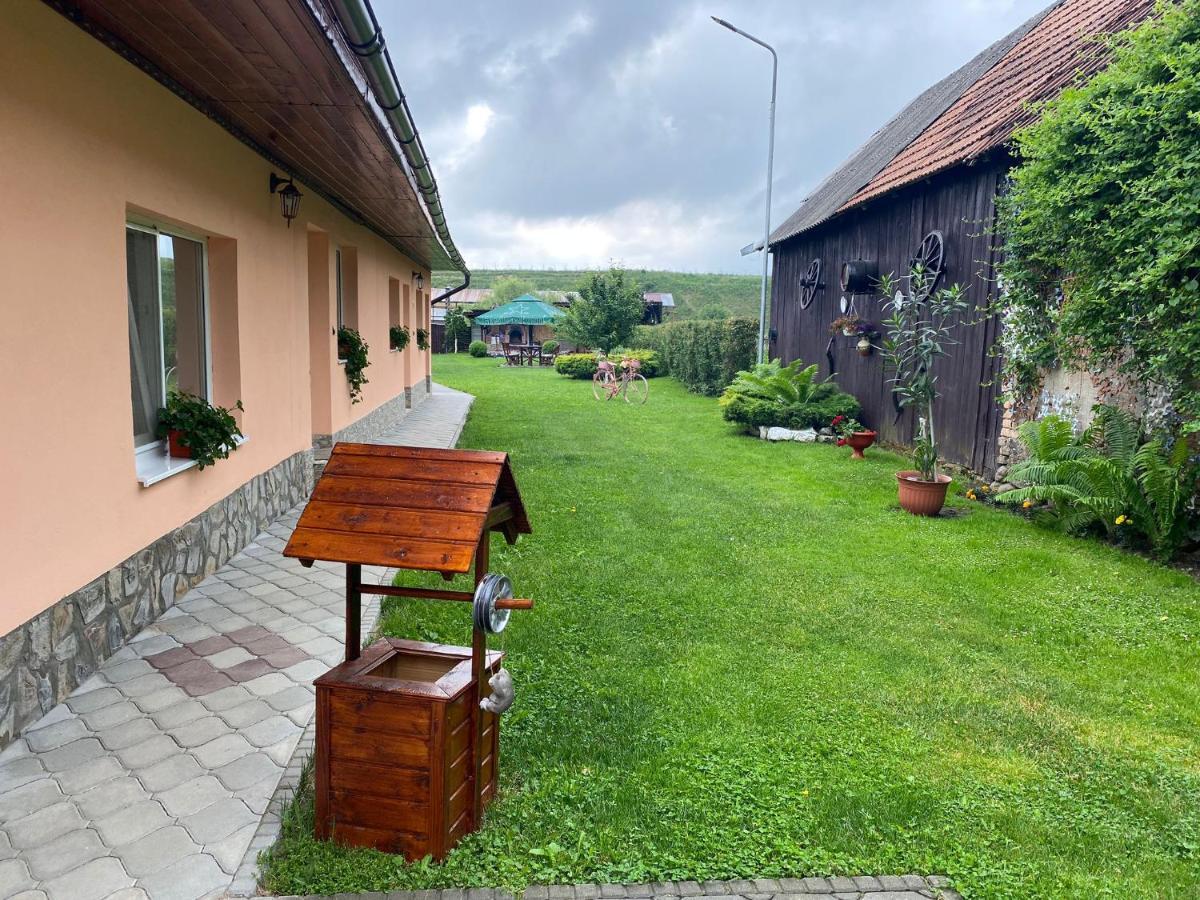 Pensiunea Denis Cîrţişoara Exteriör bild