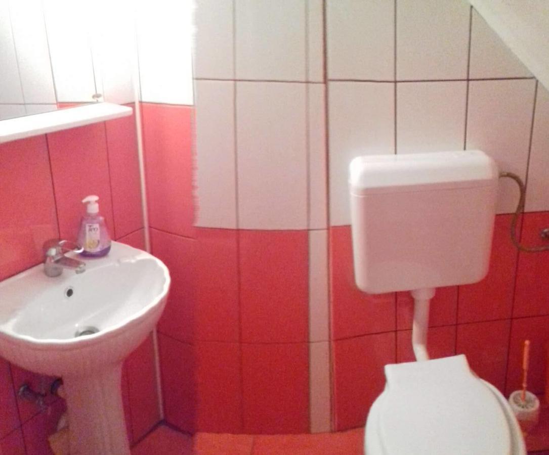 Pensiunea Denis Cîrţişoara Exteriör bild