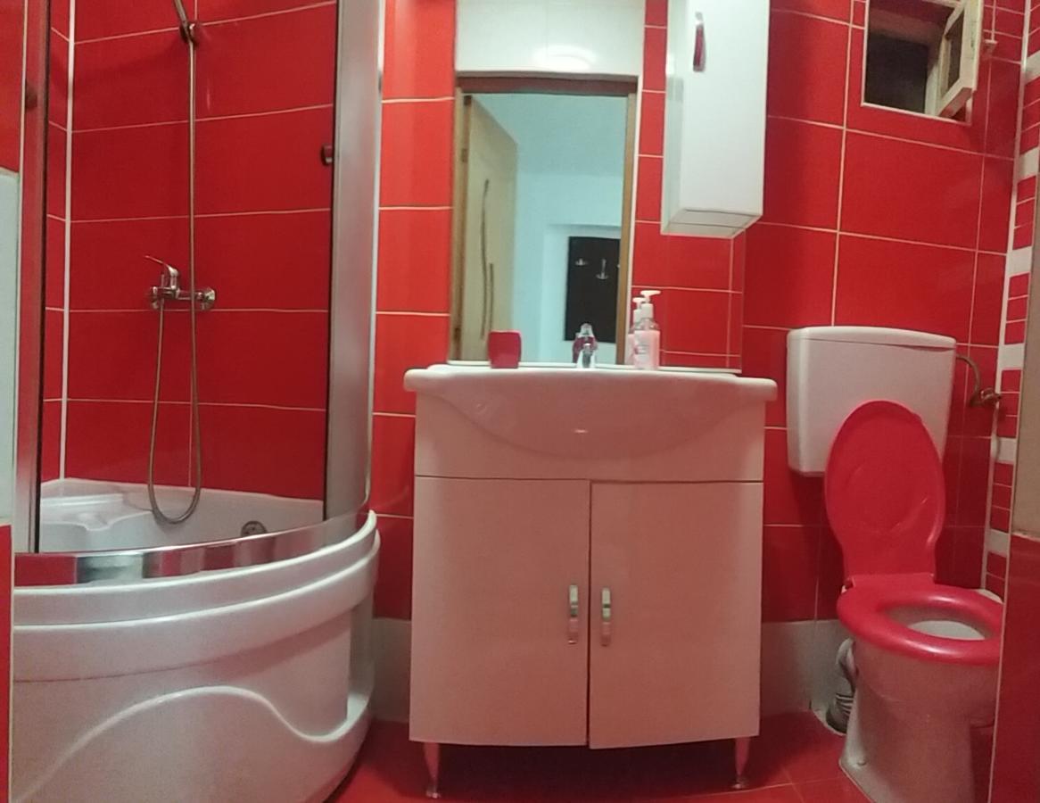 Pensiunea Denis Cîrţişoara Exteriör bild