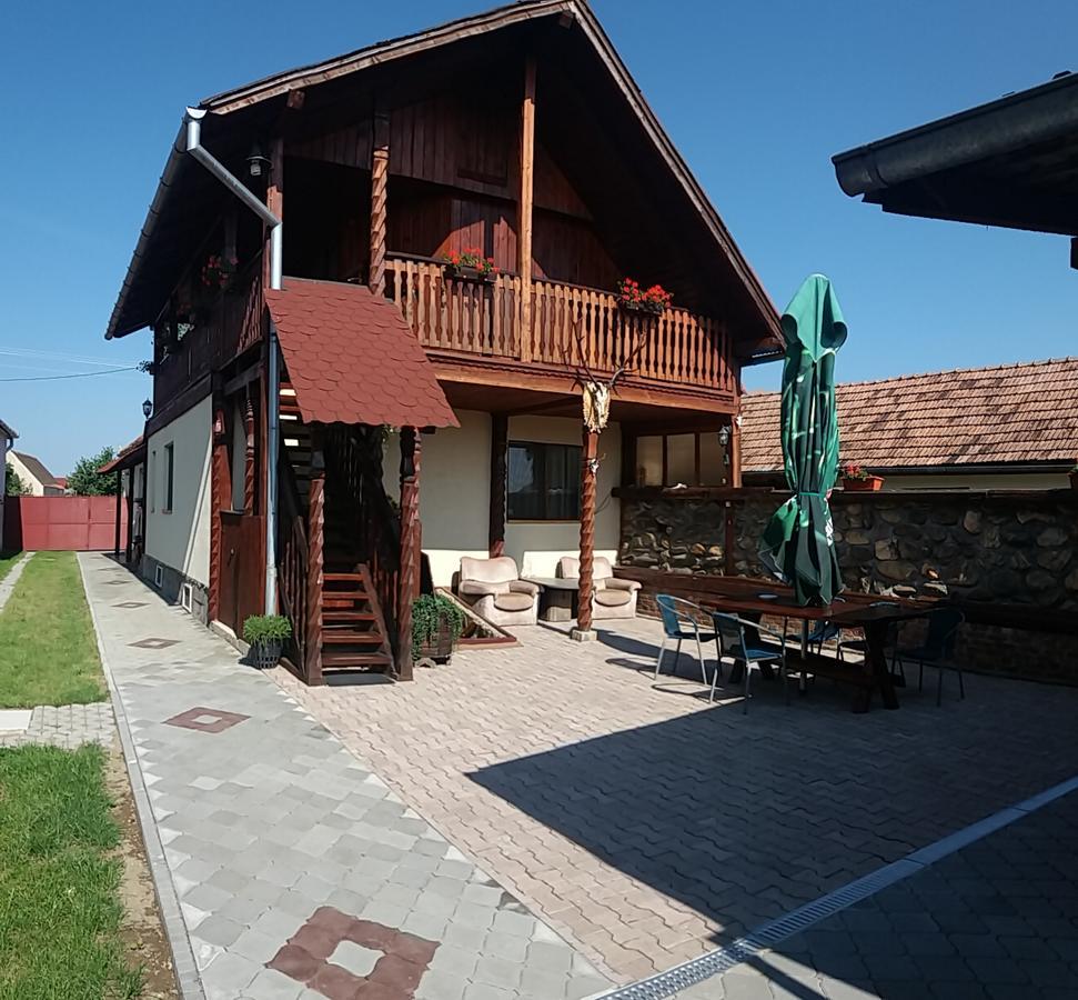 Pensiunea Denis Cîrţişoara Exteriör bild