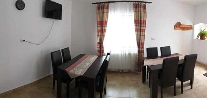 Pensiunea Denis Cîrţişoara Exteriör bild