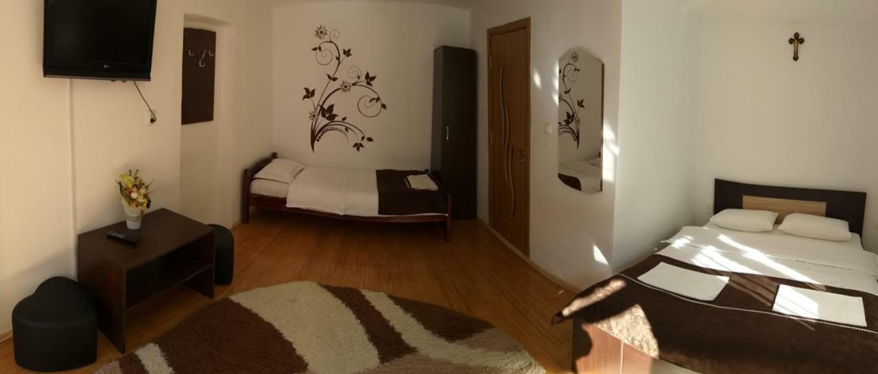Pensiunea Denis Cîrţişoara Exteriör bild